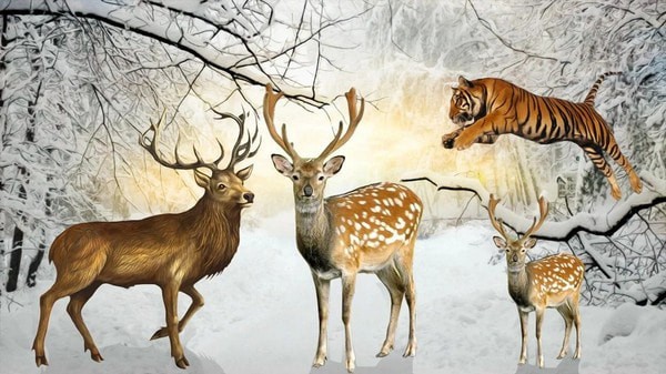 非常野生猎鹿模拟器 最新版截图4