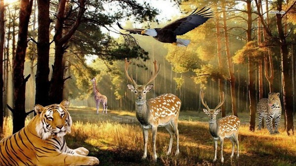 非常野生猎鹿模拟器 最新版截图3