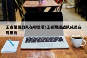 王者荣耀战队在哪里看!王者荣耀战队成员在哪里看