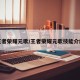 王者荣耀元歌/王者荣耀元歌技能介绍