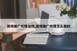 游戏推广代理龙翔,游戏推广代理怎么做的