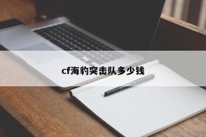 cf海豹突击队多少钱