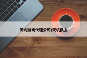 天坑游戏代理公司/天坑队友