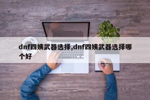 dnf四姨武器选择,dnf四姨武器选择哪个好