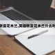 英雄联盟花木兰,英雄联盟花木兰什么时候返场