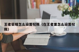 王者荣耀怎么设置权限（在王者里怎么设置权限）