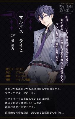 天使与恶魔与恋之宝石-受诅咒的九个刻印 日服截图4