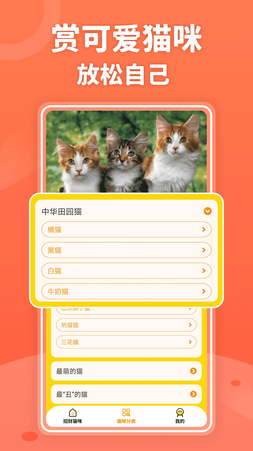 招财进猫截图2