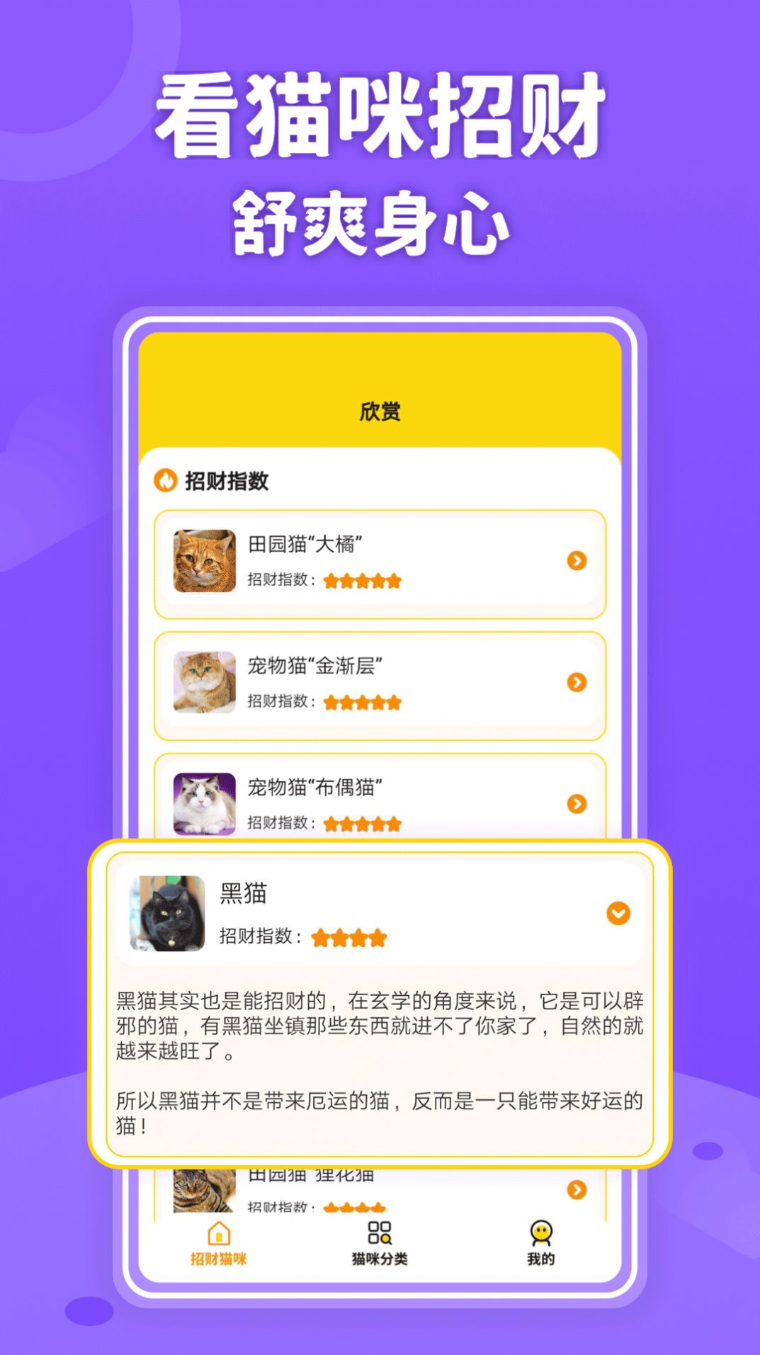 招财进猫截图3