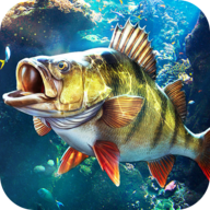 欢乐钓鱼大师 比赛版图标