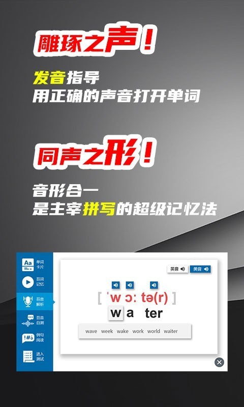 苔词app截图2