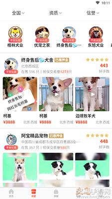 宠物市场app宠物交易平台截图1