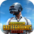 PUBG MOBILE 最新版本图标