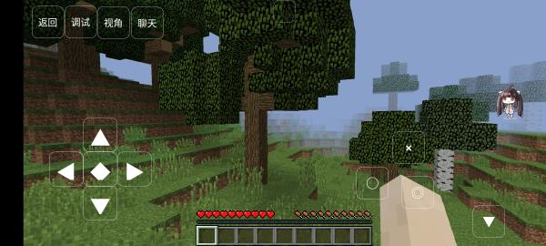 我的世界宝可梦剑盾手机版截图5