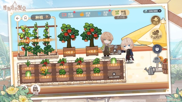 维斯塔的餐桌 安卓版截图3