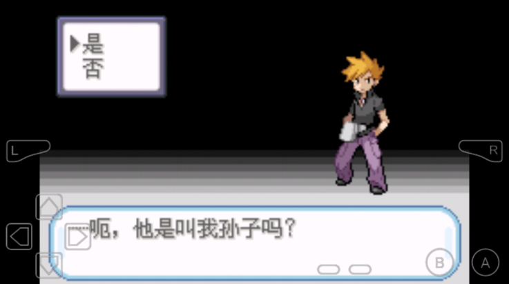 口袋妖怪不归之殇暗手游截图3