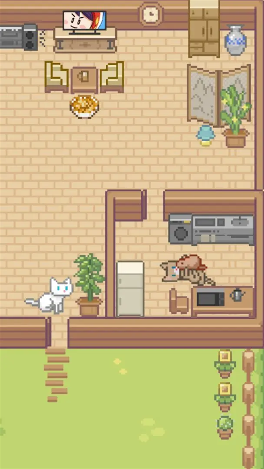 Miao屋手游最新版截图1