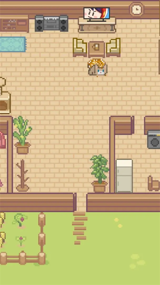 Miao屋手游最新版截图2