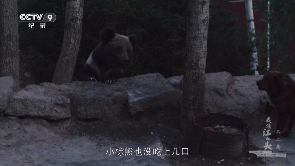 蓝光4K影视app手机版截图1