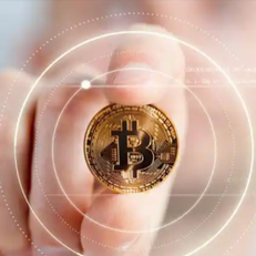 week交易平台下载图标