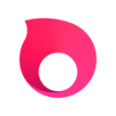 贝锐洋葱头软件：企业级浏览器工具，提升办公效率