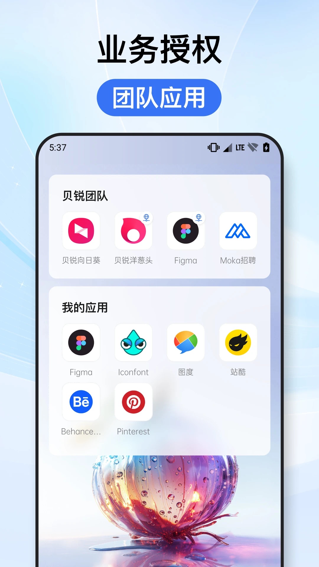 贝锐洋葱头软件截图2