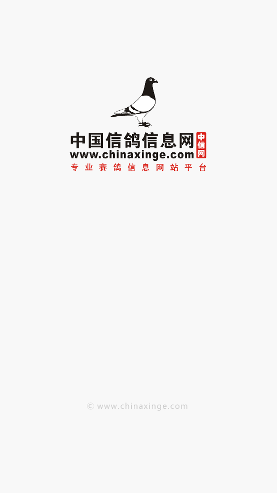 中国信鸽信息网手机版截图5