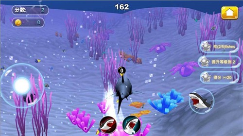 鲨鱼大逃杀截图1