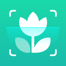 植物识别王：多功能植物识别应用