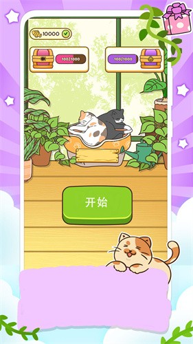 一起走猫步截图2