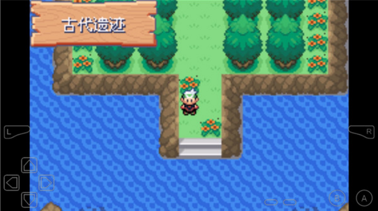 口袋妖怪永恒之沫3.0手机版截图4