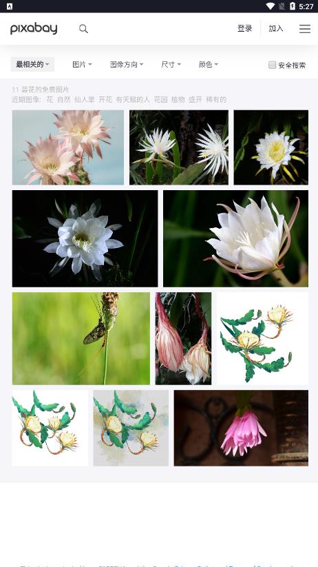 Pixabay截图3