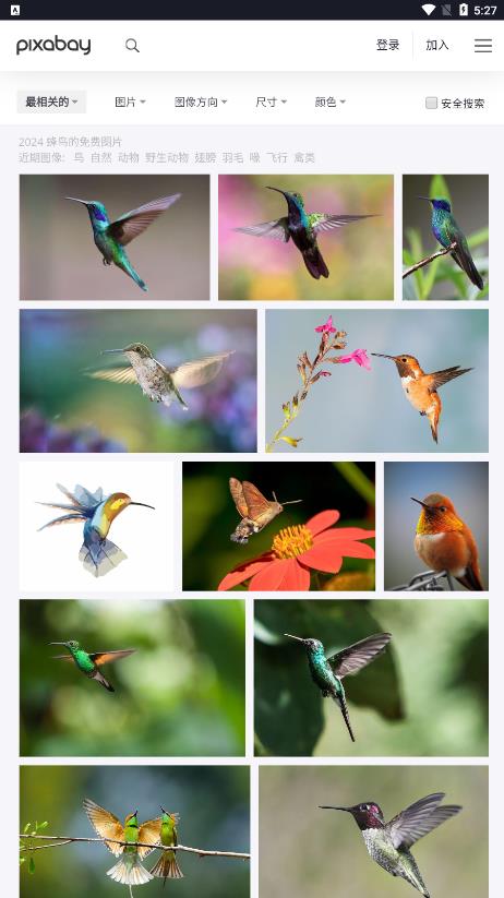 Pixabay截图2