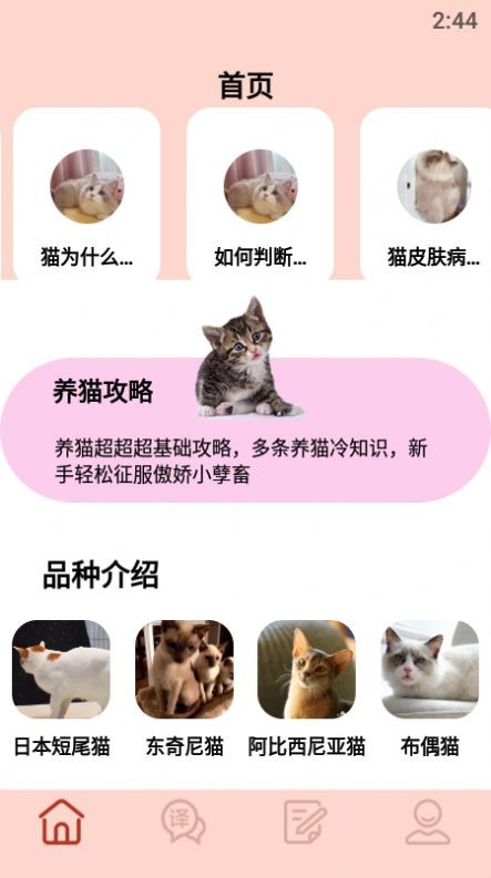 摸摸小猫截图1