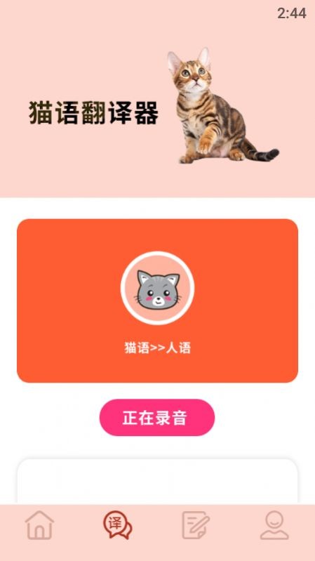 摸摸小猫截图2
