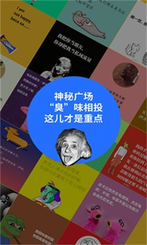 鲱鱼罐头app截图2