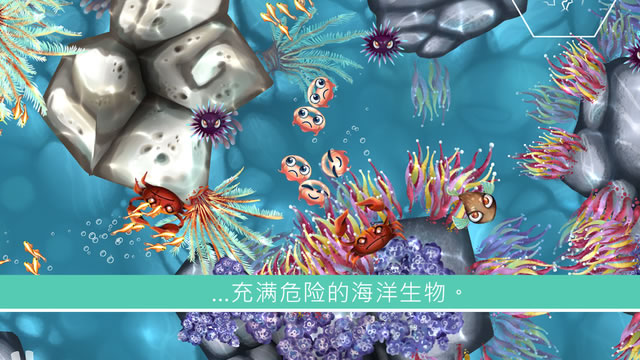 水母暗礁Jelly Reef截图3