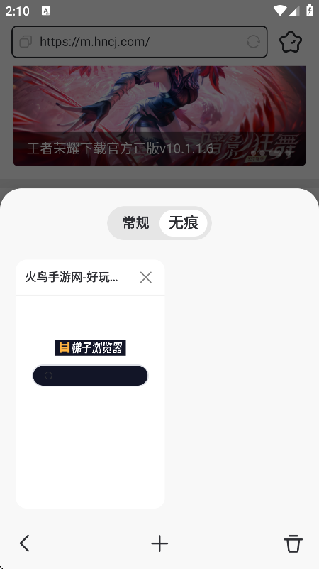 梯子浏览器手机版下载截图4