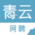 青云网聘图标