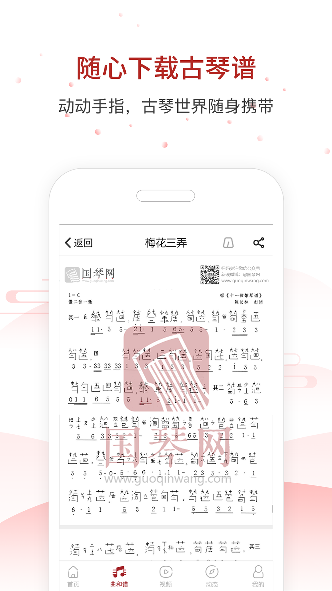 国琴网app截图4