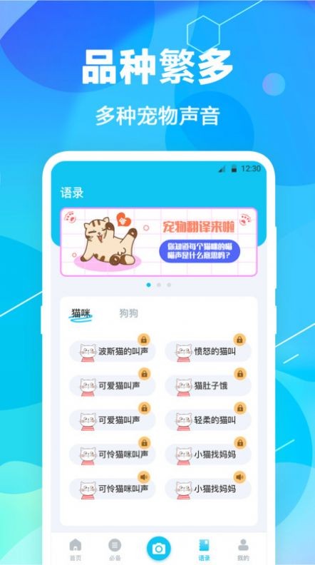 猫语翻译精灵截图2