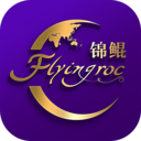 锦鲲图标