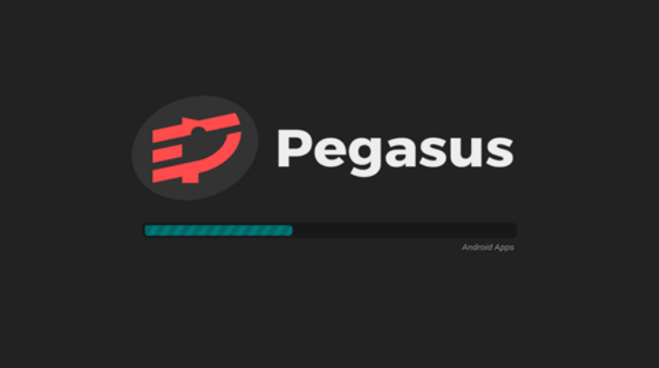天马模拟器安卓版(Pegasus)截图1