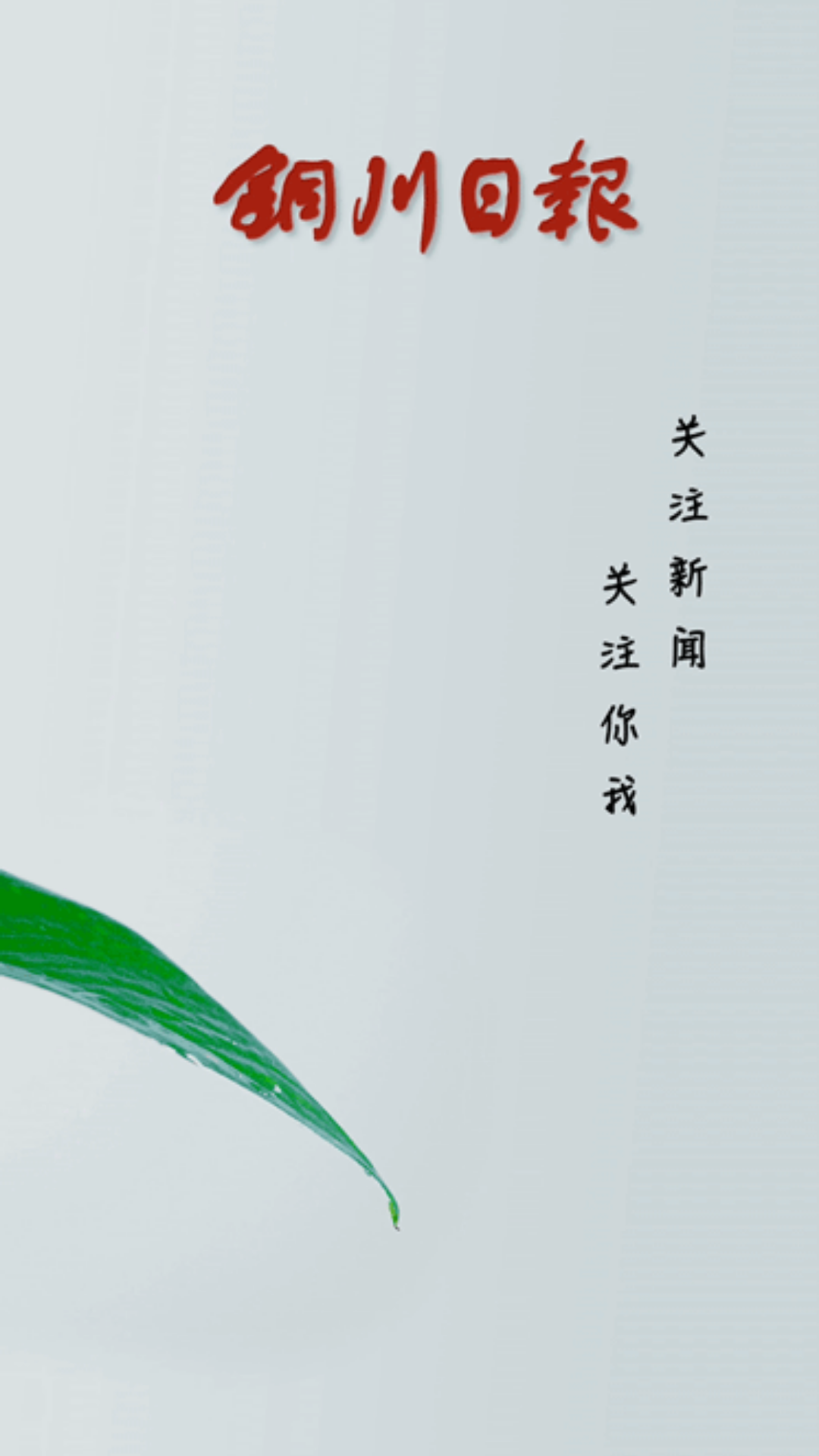 铜川传媒APP截图3