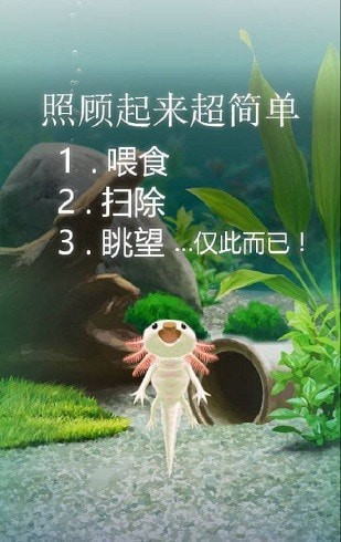 治愈的蝾螈截图3