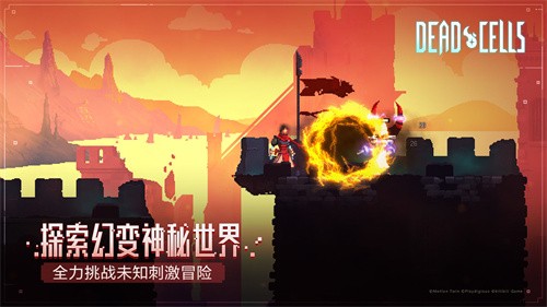 重生细胞王后与海截图1