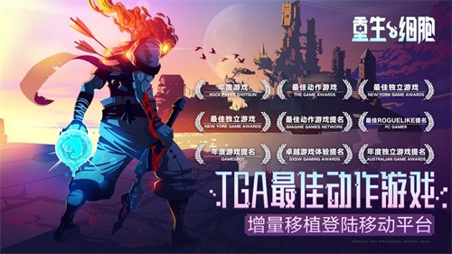 重生细胞王后与海截图3
