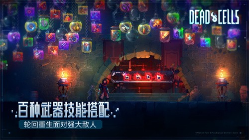 重生细胞王后与海截图2