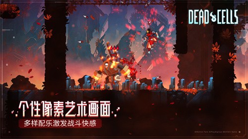 重生细胞王后与海截图5