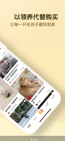 小萌猫app截图1